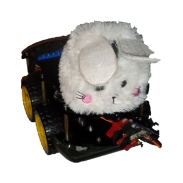 An Elegoo Smart Robot Car modified as the Bob project, as seen from the user's perspective.